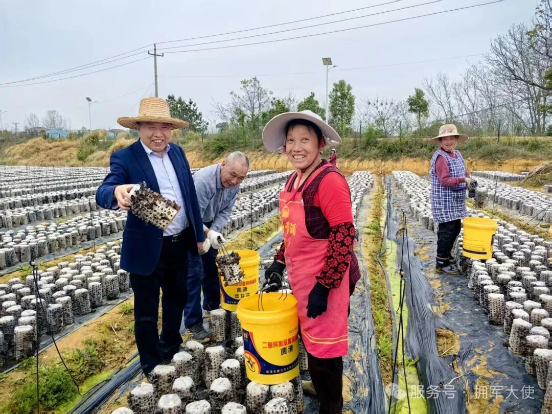 小小蘑菇撑伞 岁岁善意相传——记拥军大使、中国好人、“蘑菇大王”丁伦保的公益致富路